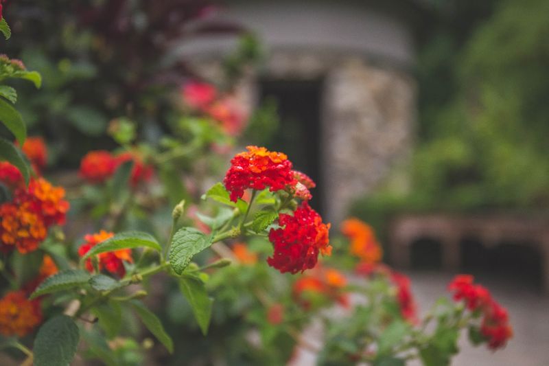 Arrival Tips And Best Times