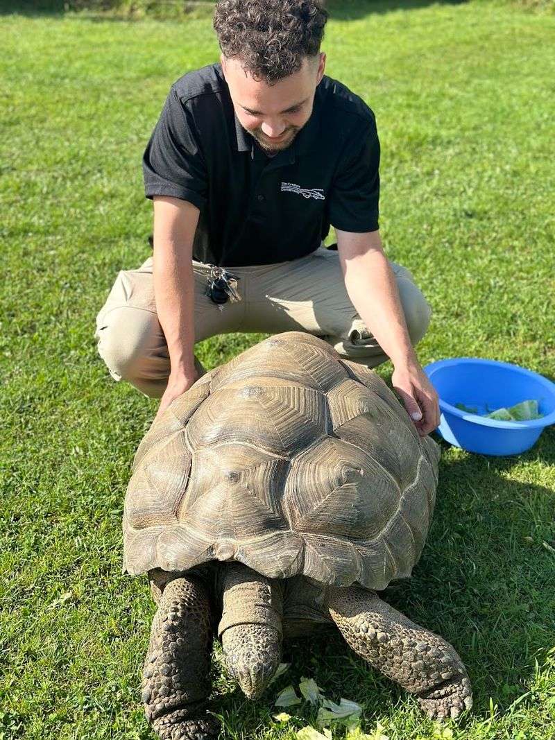 How Rescues Happen Here