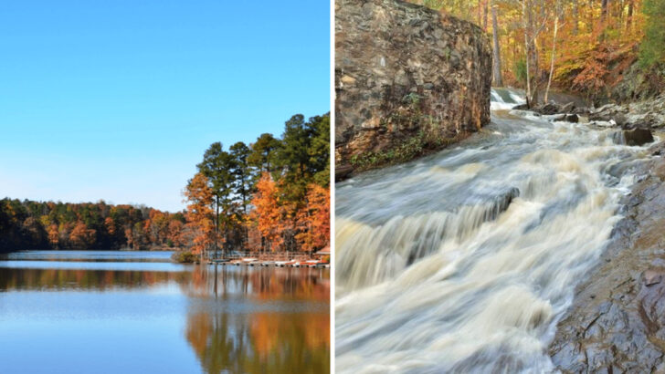 This North Carolina State Park Has 34 Miles of Trails, Three Lakes, and a Chainsaw Carved Tree Full of Woodland Creatures