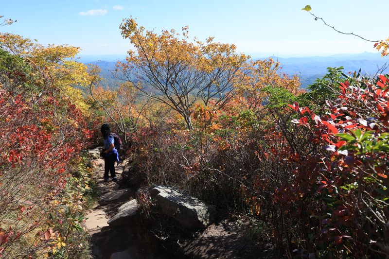 The Trail Distance and Difficulty Level