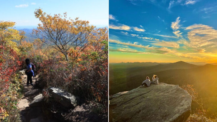 This North Carolina Trail Takes Less Than an Hour but the Views From the Top Stay With You Forever