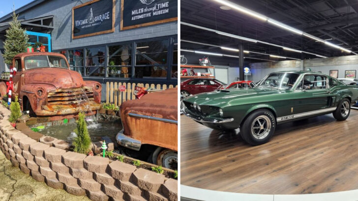 This North Georgia Museum Inside a Converted Textile Mill Houses One of the State&rsquo;s Most Impressive Car Collections