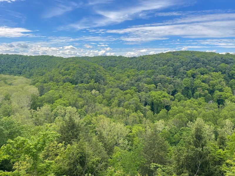 Gorge Overlook Trail