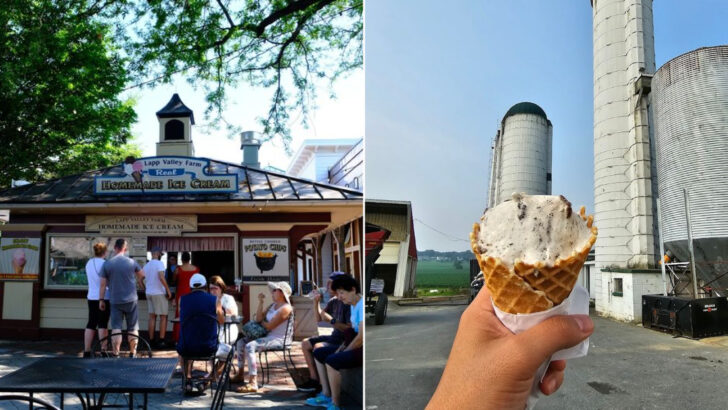 This Pennsylvania Farm Is Known for Ultra Creamy Ice Cream Made the Old-Fashioned Way