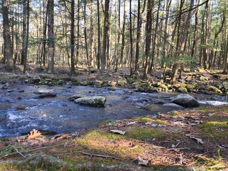 Honey Creek Fishing Simplicity