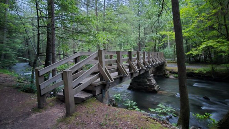 This Pennsylvania State Park Feels Like It Got Left Behind In The 1950s And That’s Exactly Why People Love It