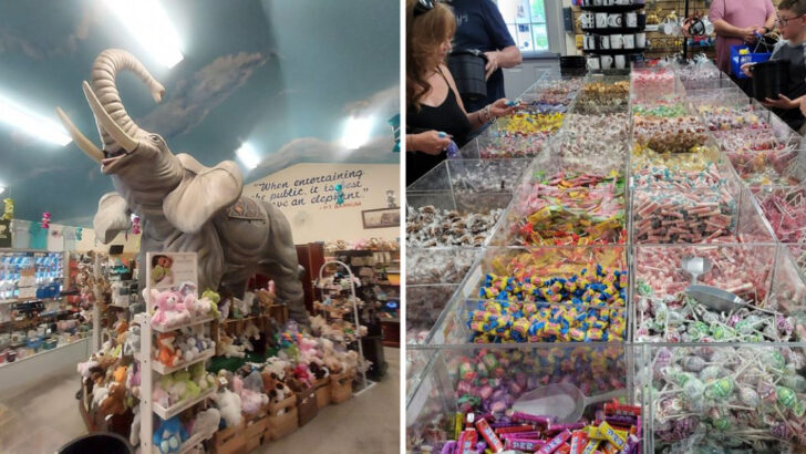 This Quirky Pennsylvania Museum Is Filled With Thousands Of Elephants And Enough Candy For A Lifetime