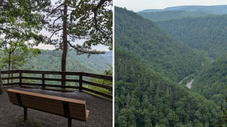 This Short Trail In Pennsylvania Leads To One Of The Most Breathtaking Views Of The State&rsquo;s Grand Canyon