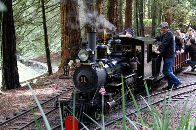 The Miniature Steam Locomotives That Actually Run on Real Steam