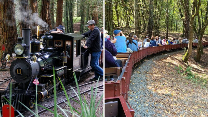 This Small California Steam Train Ride Feels Like A Storybook Journey Through The Redwoods