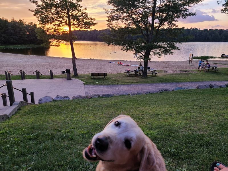 The Black Moshannon Lake and Swimming Beach