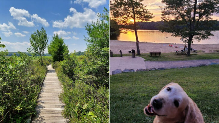 This State Park In Pennsylvania Feels Wild And Undisturbed With Trails Through Forest And Marsh