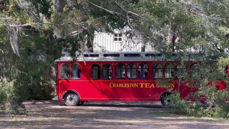 How To Get The Most From The Trolley Tour