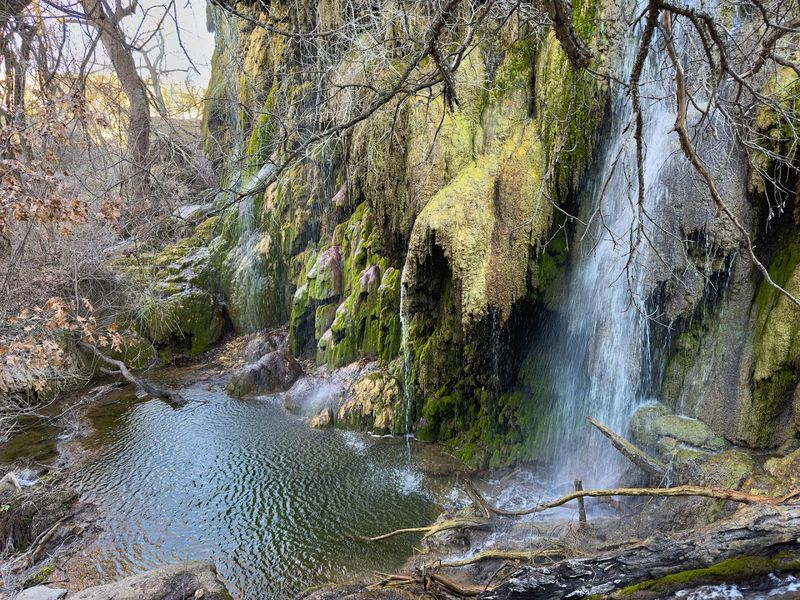 Gorman Falls: Texas's Hidden Jungle Waterfall