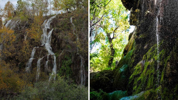 This Texas Hill Country Trail Ends At A Moss-Covered 70-Foot Waterfall That Feels Almost Tropical