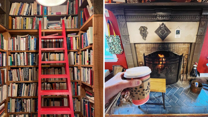 This Three Story Bookstore Off the Blue Ridge Parkway Has 30,000 Books and the Best Coffee in North Carolina