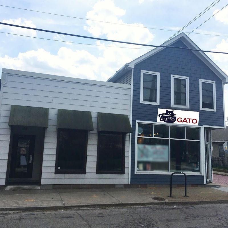 A Cozy Cat Caf&eacute; With a Big Mission