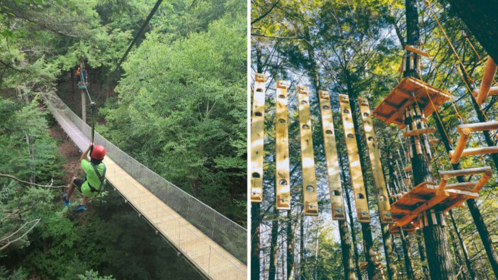 This Treetop Adventure In Massachusetts Lets You Walk, Climb, And Zip Through The Forest