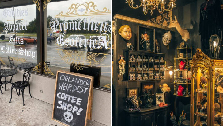 This Unusual Central Florida Boutique Is Filled With Oddities, Crystals, and Curiosities You Don&rsquo;t See Every Day