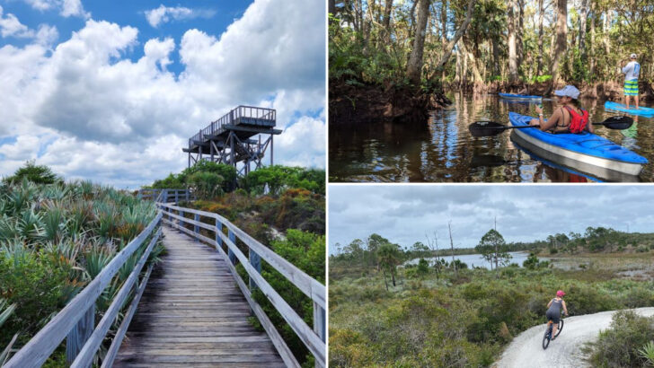 This massive 11,500-acre state park on Florida&rsquo;s Treasure Coast is one of the wildest places in the entire state