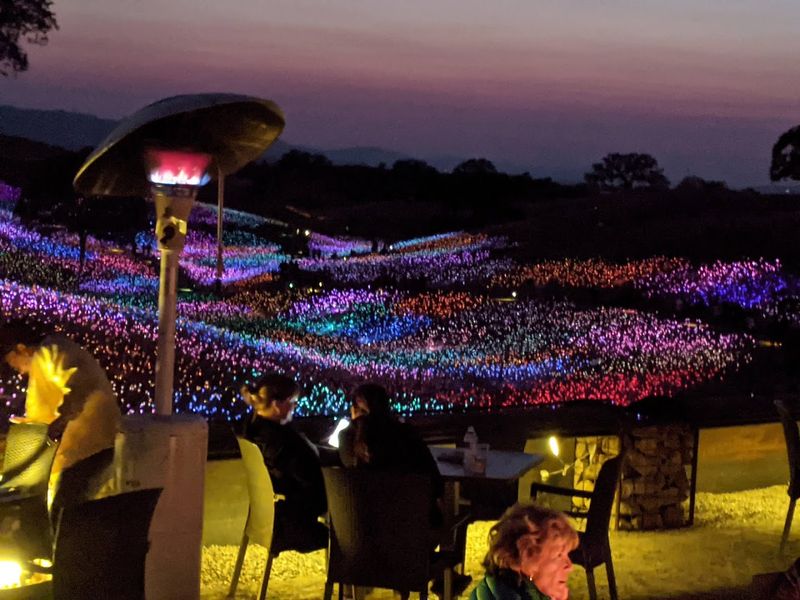 The Field of Light: Where It All Begins