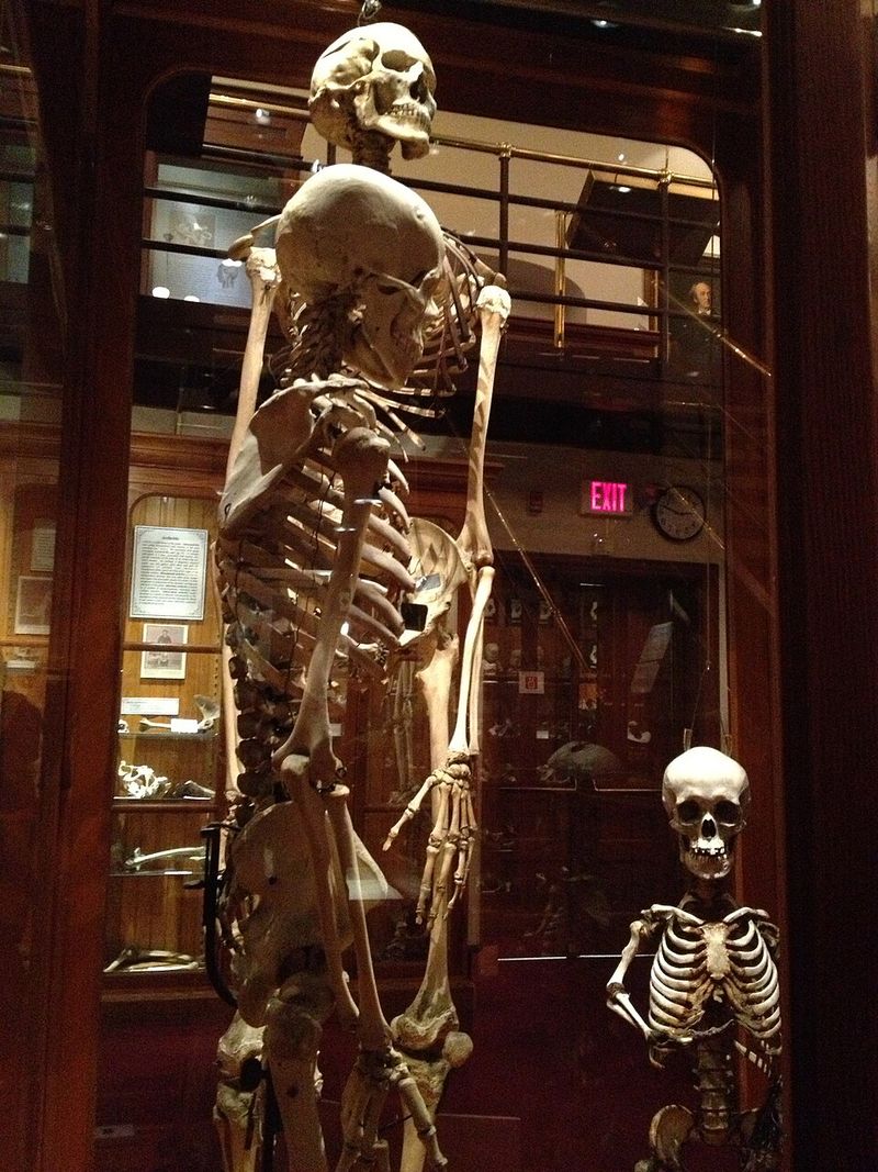 Famous and Fascinating Highlights