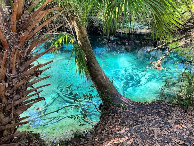 Juniper Springs Recreation Area