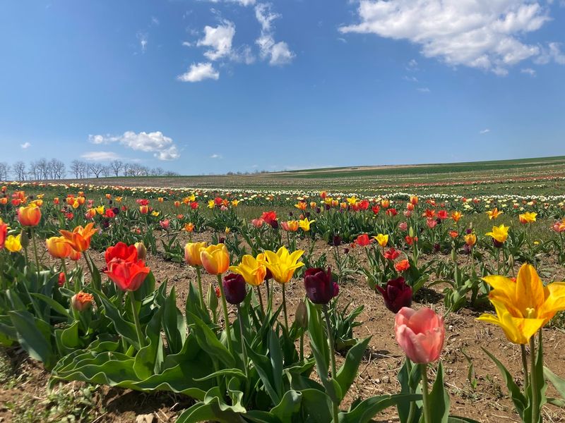 Family Fun and Activities