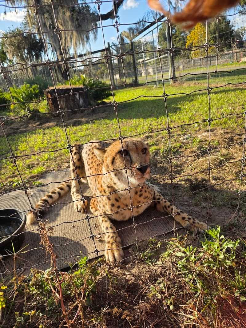 Accessibility And Comfort On Site