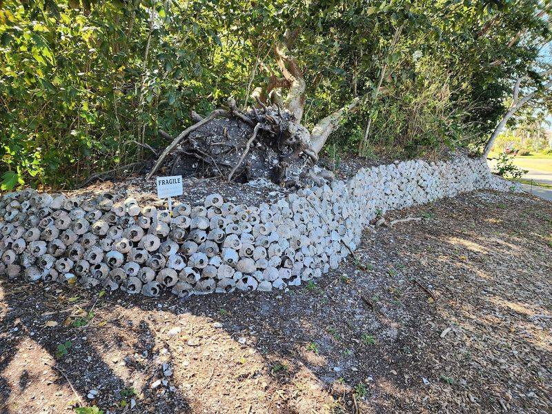 The Ancient Calusa: Marco Island's Original Inhabitants