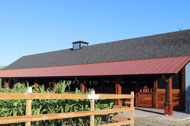 Schedule And Booking Details