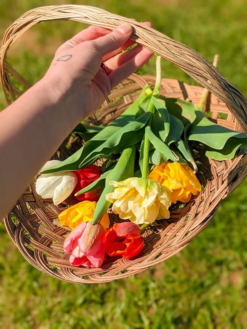 Essential Visitor Information Before You Go