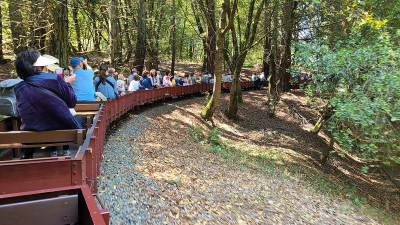 Why This Train Ride Creates Lifelong Memories for Kids and Adults