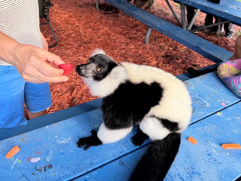 Responsible Hands-On Moments