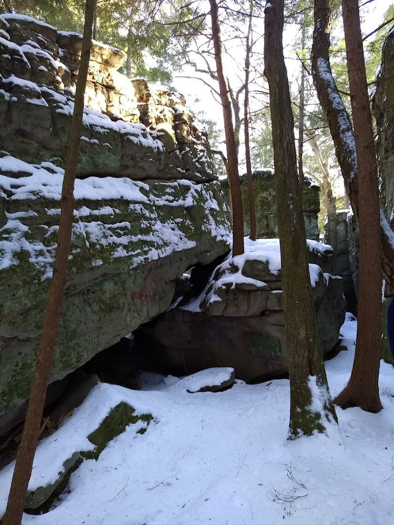 Cool Crevices and Microclimates Within the Rocks