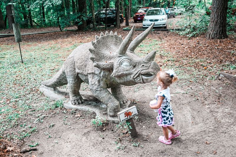 Visitor Info and Tips