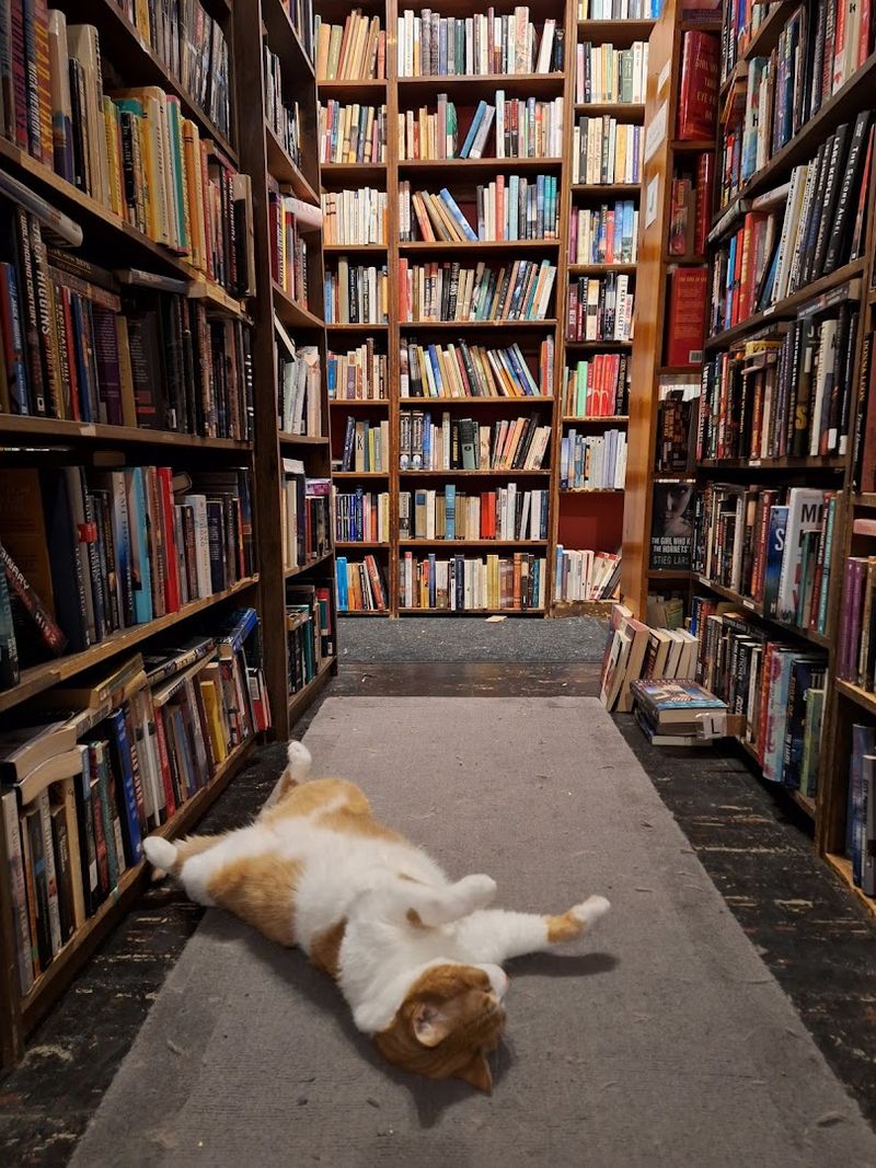 Comfort Tactics For Tight Aisles