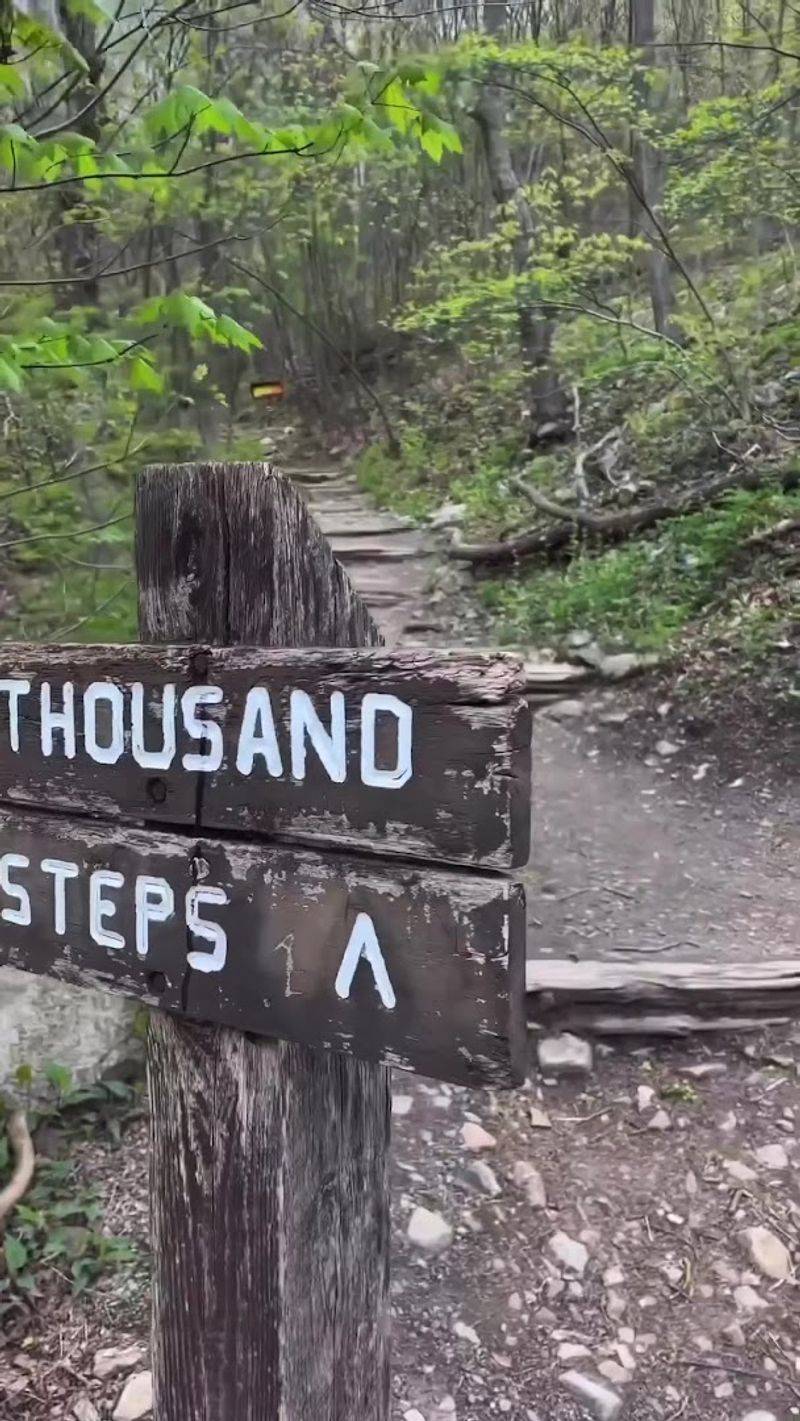 Finding The Trailhead And Parking