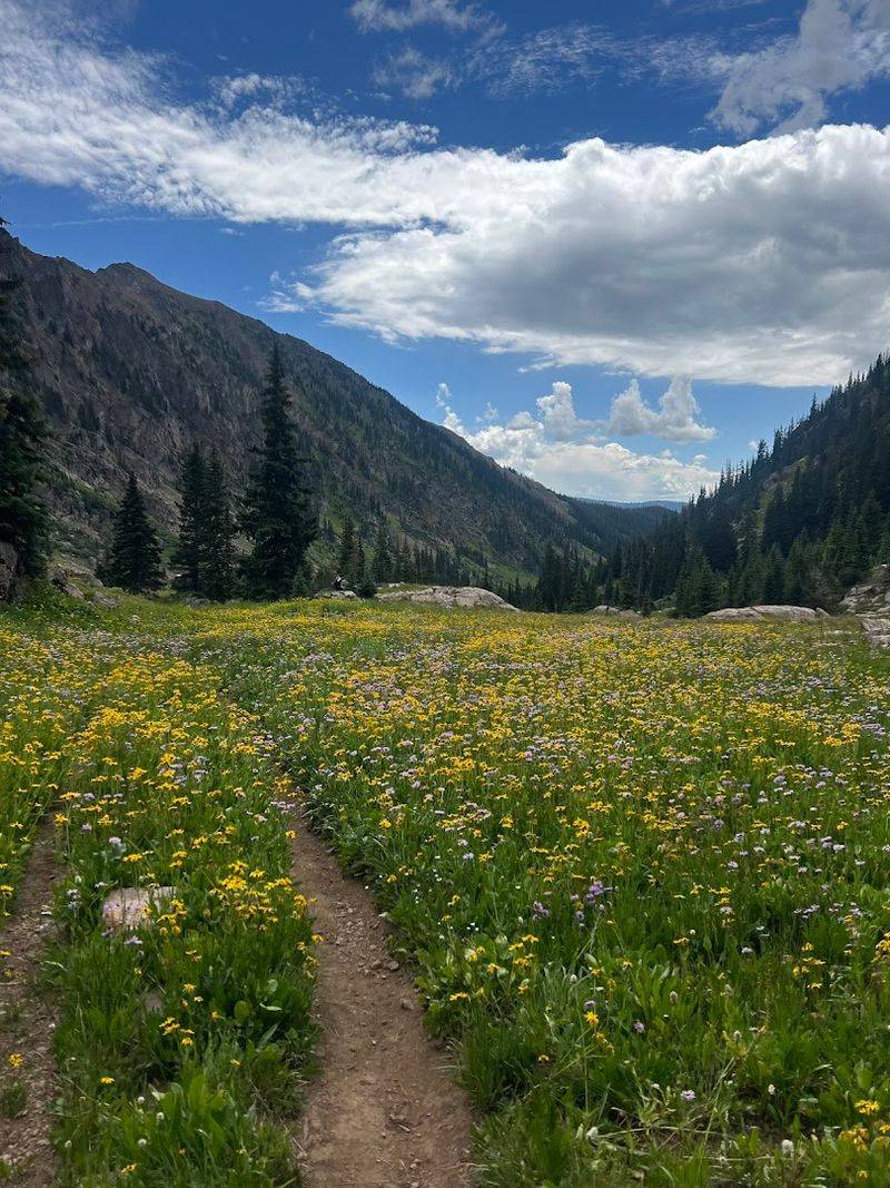 Seasonal Timing: When to Visit for the Best Experience