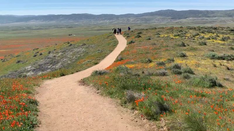 Weather, Wind, and What to Wear