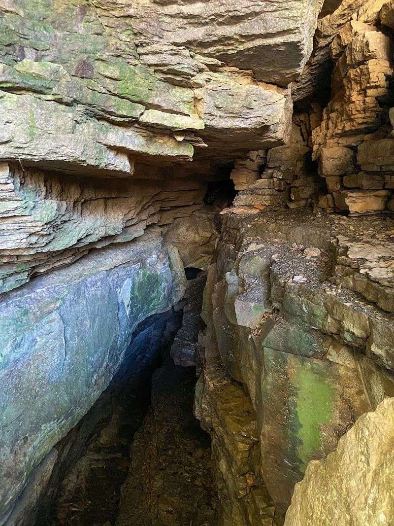 Where the Fossils Reveal Themselves