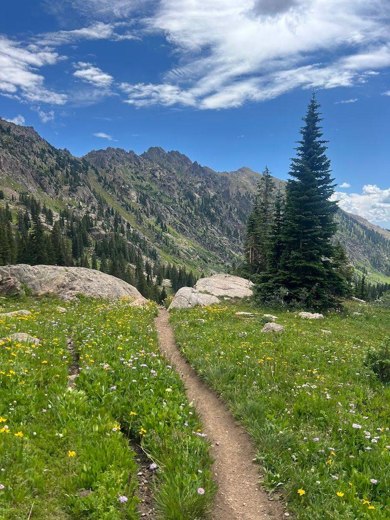 Altitude and Acclimatization: A Real Challenge for Lowlanders