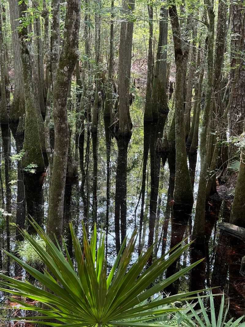 Wildlife and Birding Hotspots