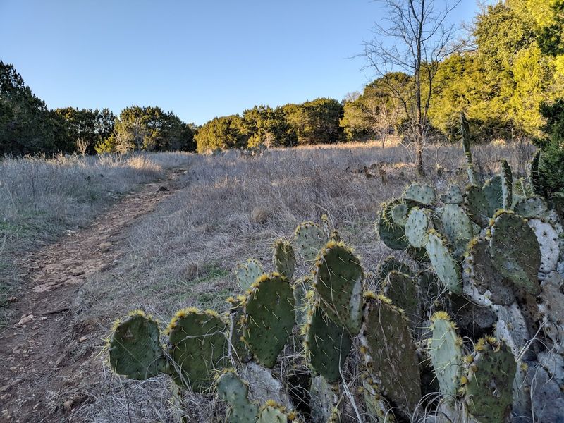 Navigation and Terrain: Reading the Trail Like a Local