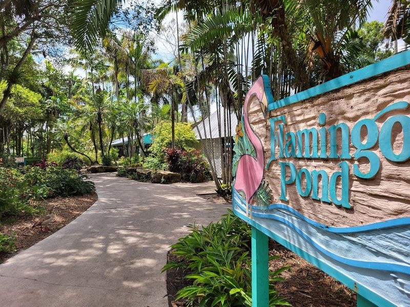 Peaceful Walking Trails and Shaded Paths