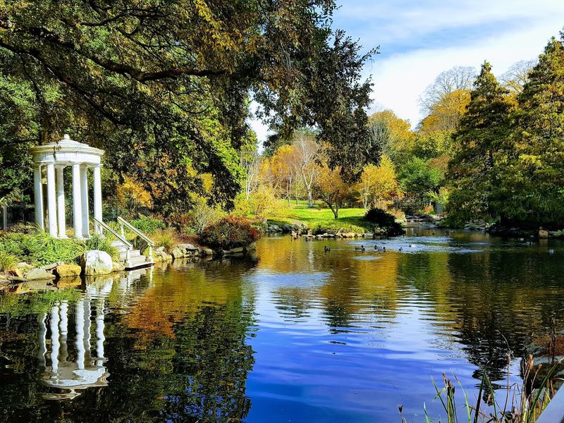 Swan Pond: The Garden's Most Romantic Corner