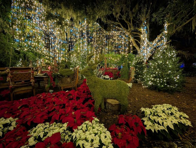 Dazzling Nights Event: When the Garden Transforms After Dark