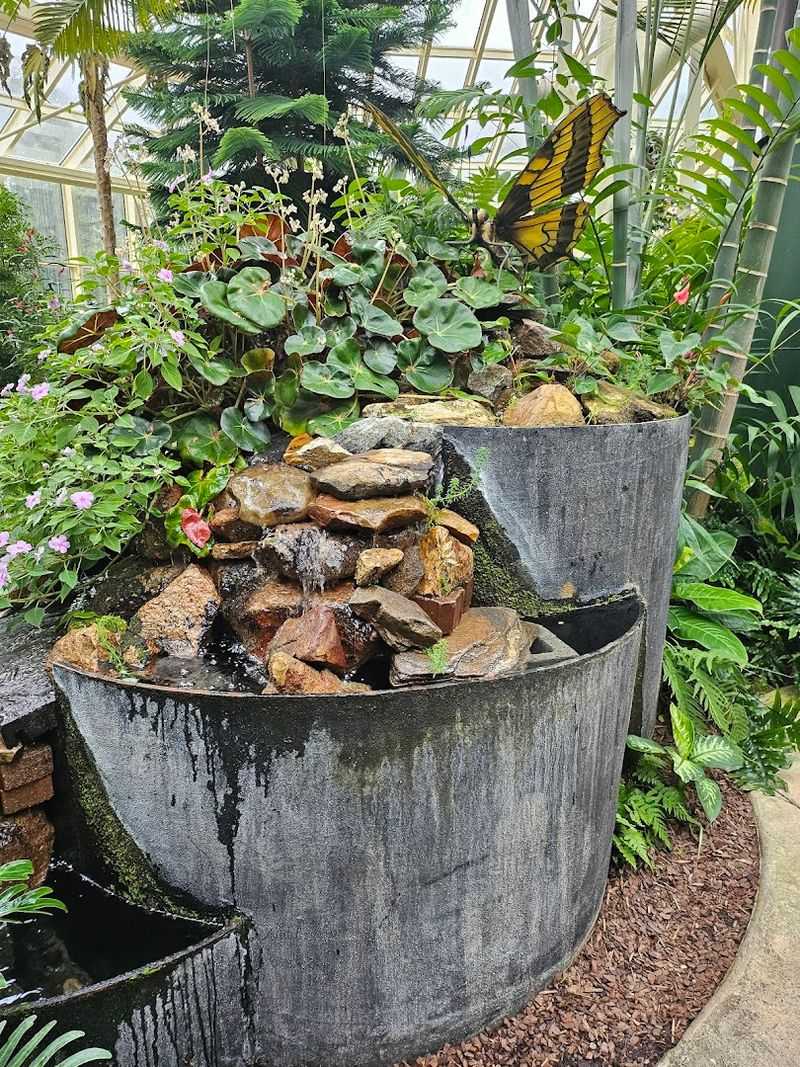 Educational Experiences and Presentations