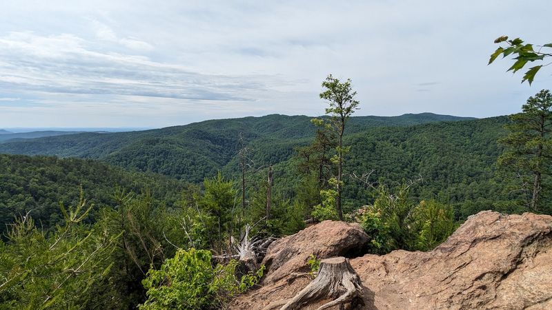 Scenic Overlooks and Panoramic Views Worth the Climb