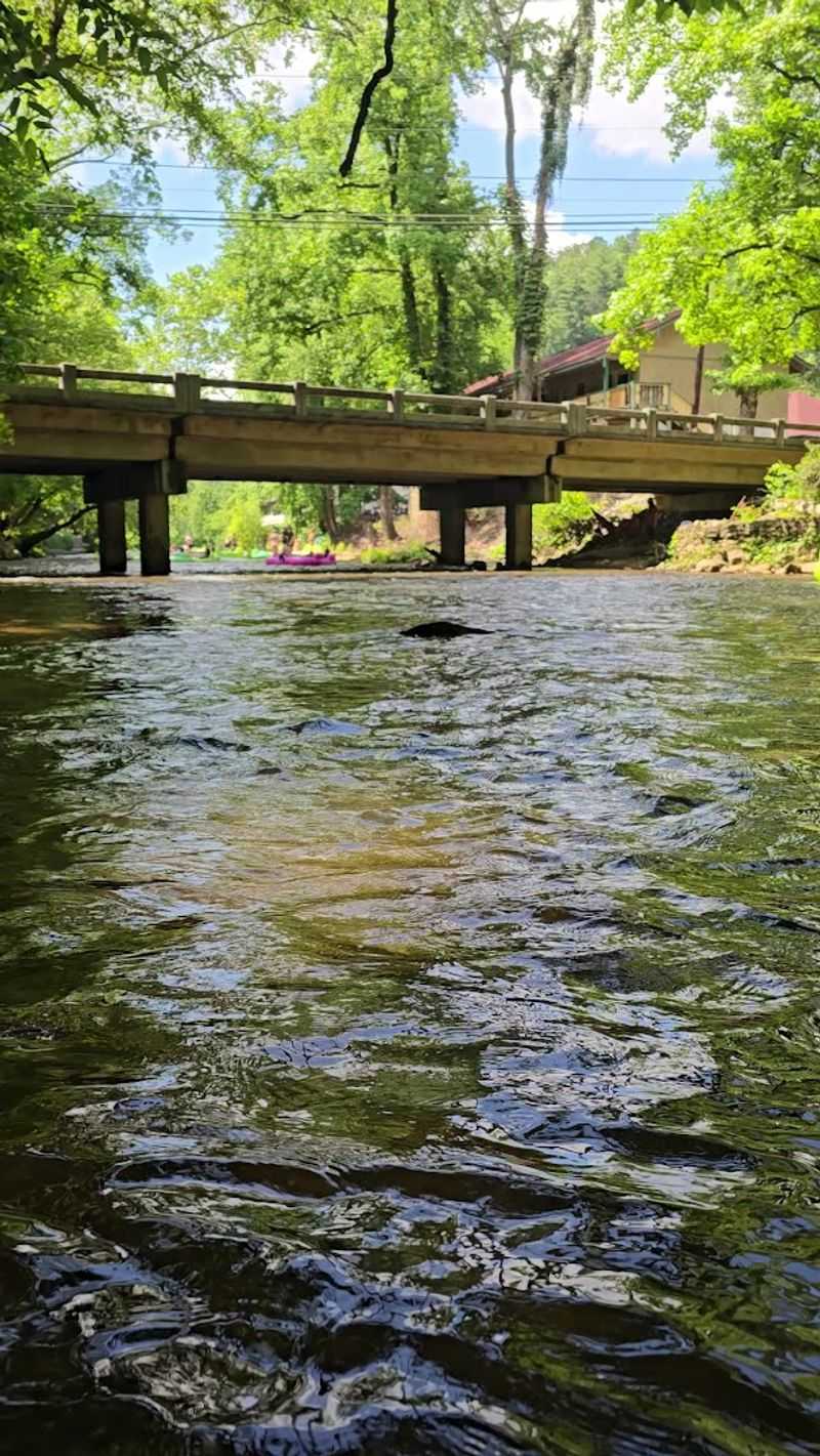 Best Time to Go for Ideal Conditions